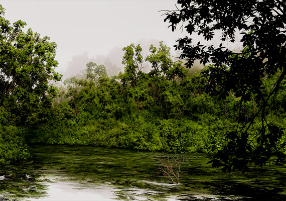 Amazonian riparian landscape study.  The work is a non-photographic digital painting.  Print: Pigment on premium gloss paper.  Framed size: 18x24 or 13x19 with double mat and Signature frame.