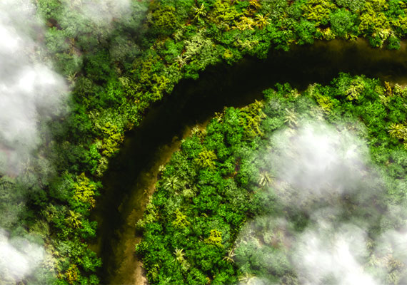 Ariel view of the Rio Negro and Amazon canopy textures.  The work is a non-photographic digital painting.  Print: Pigment on premium gloss paper.  Framed size: 18x24 or 13x19 with double mat and Signature frame.